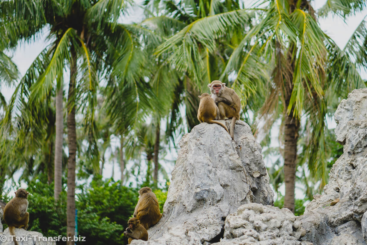 13. Monkey Island Nha Trang