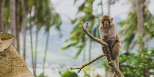 Monkey Island near Nha Trang city – phototour